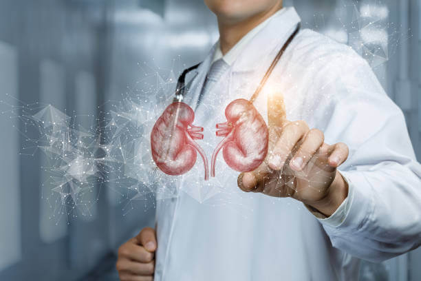 Patient kidney diagnosis and treatment concept. The doctor clicks on the whiskey from the kidneys.