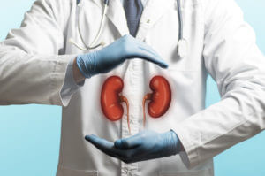 Importance of Kidney Health