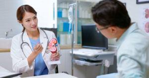 A female Kidney Specialist educating a patient