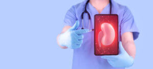 A nephrologist doctor on light blue background analyzes kidney via tablet.
